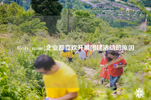 茂名企业都喜欢开展团建活动的原因